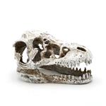 Prehistorische schedel 8cm / aquariumdecoratie As-282