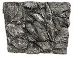 3D aquarium achterwand Os-41-1 Maat: 62x50x5,5cm