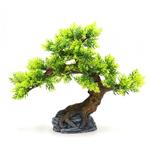 Bonsaiboom 24cm / Aquariumdecoratie As-305