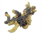 Savanna root 2 / Aquariumdecoratie As-0022