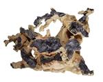 Savanna root 3 / Aquariumdecoratie As-0023