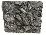 3D aquarium achterwand Os-41-1 Maat: 62x50x5,5cm