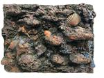 3D aquarium achterwand Os-44-1 Maat: 80x60x16cm