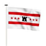 NR 202: Vlag Drenthe 100x150cm premium