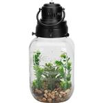 Kunstplanten in fles met LED verlichting  