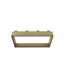 Opbouwnis BWS Colorato Doucherek voor Douchewand 30x60cm Geborsteld Goud