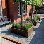 Cortenstaal plantenbak zonder bodem