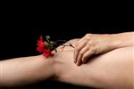 fotoshoot -