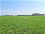 6929 HAUT-FAYS (Daverdisse): bouwgrond, 10a01ca