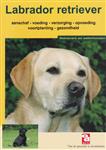 De Labrador retriever / Over Dieren