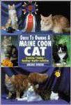 Guide to Owning a Maine Coon Cat