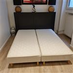 Bedbodems