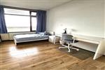 Kamer Dotterlei in Capelle aan den IJssel