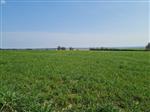 6929 Daverdisse Ardennen : bouwgrond, 9a 46ca.
