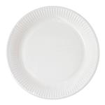White Paper Products White Paper Plates 23Cm Home & Industrial Compostable Certified 10St