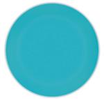 Solid Colour Turquoise Reusable Plates 25Cm 2St