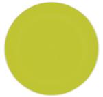 Solid Colour Lime Green Reusable Plates 25Cm 2St
