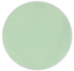 Reusable Solid Color Products Reusable Plates 25Cm Mint Pastel 2St
