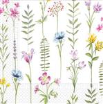 3 Ply Paper Napkins 33X33Cm/Everyday Designs Three Ply Paper Napkins 33X33Cm Botanical 20St
