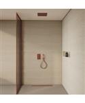 BWS Inbouw Plafondregendouche | Colorato | 30CM | met Handdouche | Geborsteld koper | SET
