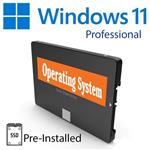 Windows 11 Pro Plug & Play SSD (120/240/480/960GB) (1/2/4TB)