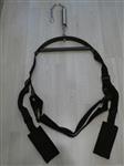 BDSM Swing