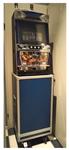 verkoop fruitautomaat japans produkt met graphics