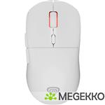 GENESIS NMG-2090 Zircon XIII Gaming Muis Ambidextrous RF Wireless + USB Type-C Wit