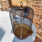 Vogelkooi met toebehoren