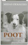 Poot