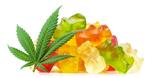 Discover Your Perfect Cannabis Store Near You