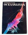 Oceaanleven
