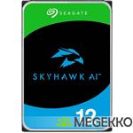 Seagate SkyHawk AI 20 TB 3.5  12 TB SATA III