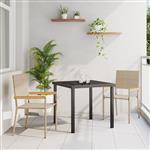 vidaXL Tuinstapelstoelen 2 pcs Crème en bruin