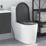 vidaXL Snelle Ontgrendel Toiletzitting Antraciet 46.2 x 36 x 4.3 cm