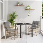 vidaXL Tuin Eetset met kussen 3 pcs Beige Poly riet