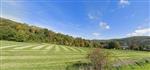 Ardennen : 5544 Agimont : perceel van 51 are.