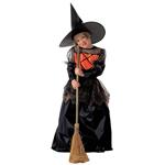 Halloween Jurk Zwart Meisje Heks 2 delig