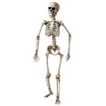 Halloween Skelet Wit 1,6m