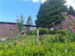 Ardennen 6880 Auby: chalet met tuin.