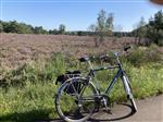 Fiets tekoop