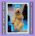 noordpool aankleding verhuur amsterdam arnhem