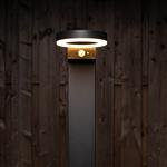 LED Solar Lantaarnpaal 600 Lumen - Bewegingssensor - 3 Standen - RVS - Zwart