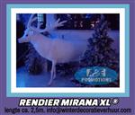 groot ijsbeer verhuur wit hert apeldoorn arnhem