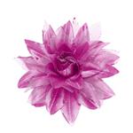 Paars Roze Haarbloem Glitter