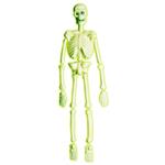 Halloween Skelet Laboratorium 90cm