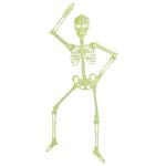 Halloween Skelet Glow In The Dark 90cm