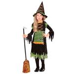 Halloween Jurk Zwart Groen Meisje Heks