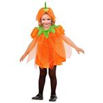 Halloween Kostuum Baby Pompoen 2 delig