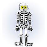 Halloween Skelet Opblaasbaar 56cm